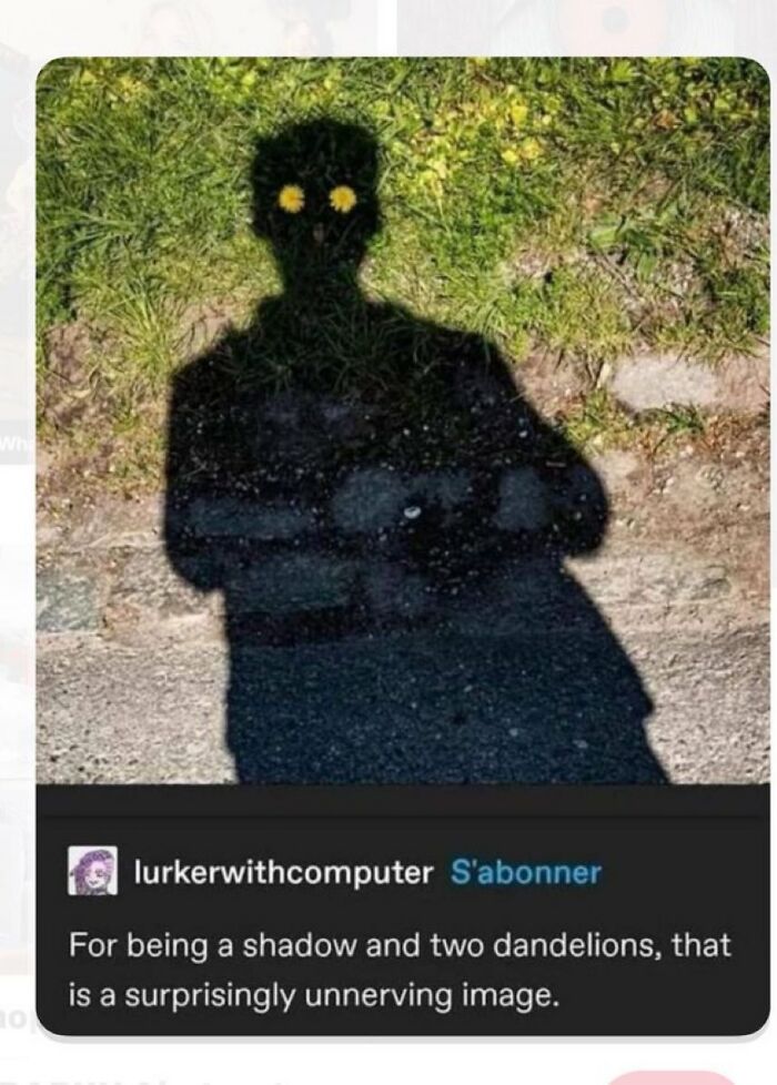 A shadow figure with dandelions for eyes, described as a surprisingly unnerving image in the savage comments.
