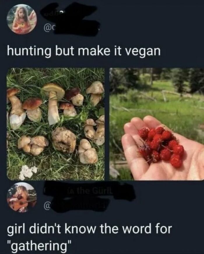 A tweet showing images of gathered mushrooms and berries, sparking savage comments about hunting and gathering.