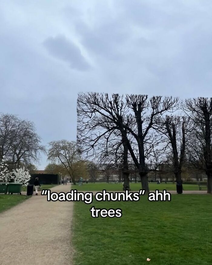A park with trees that appear to be 'loading chunks' with a savage comment about it.
