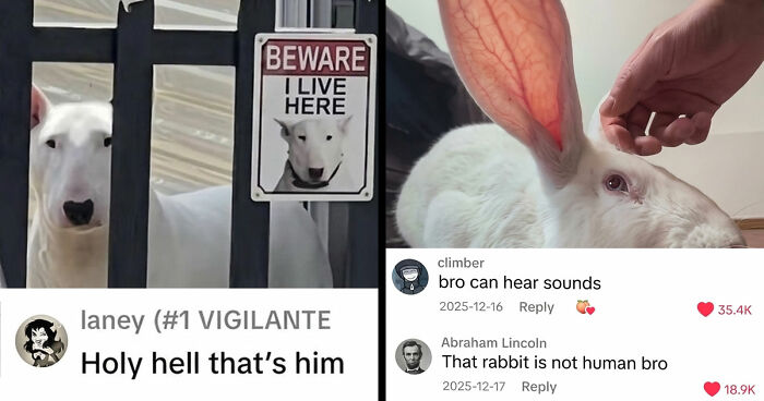 79 Savage Comments Left By People Who Have No Chill