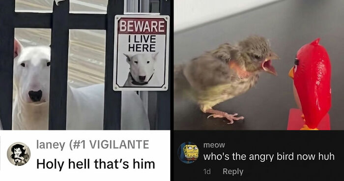 79 Savage Comments Left By People Who Have No Chill