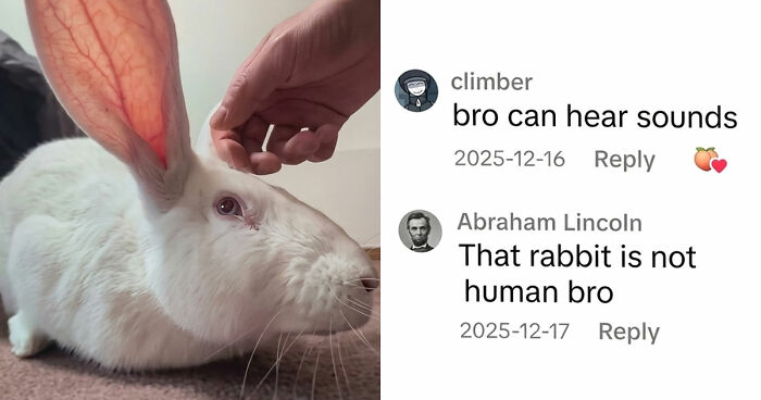 79 Savage Comments Left By People Who Have No Chill