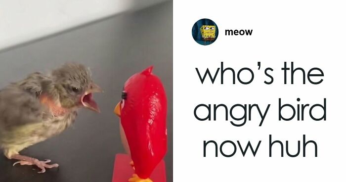 79 Savage Comments Left By People Who Have No Chill