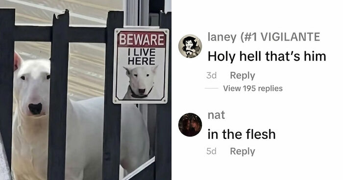 79 Savage Comments Left By People Who Have No Chill