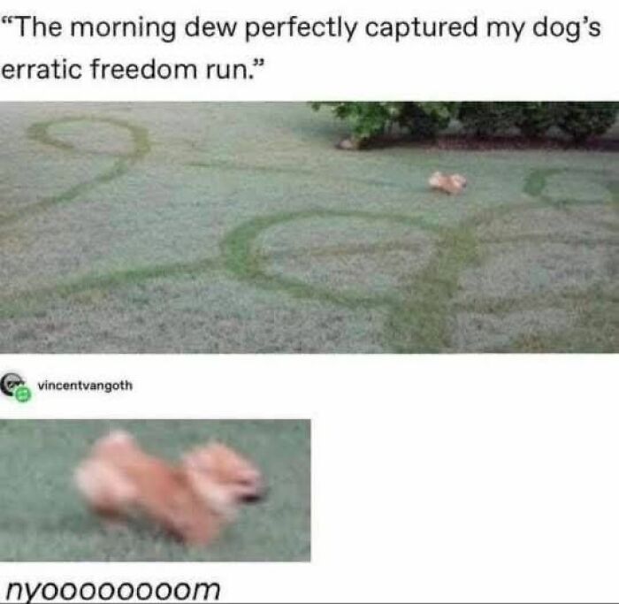 Funny-No-Context-Memes
