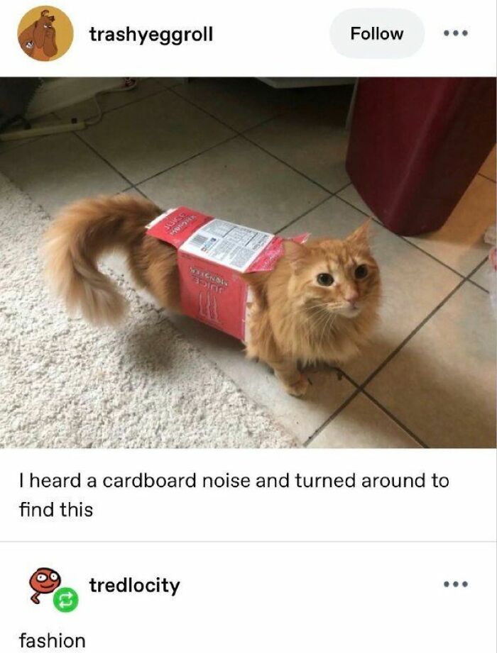 Funny-No-Context-Memes
