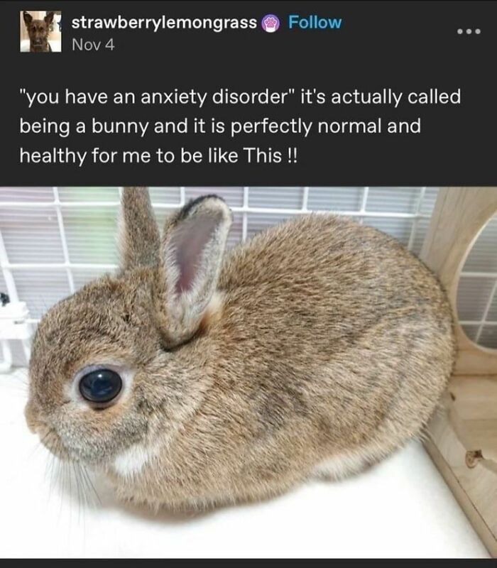 Funny-No-Context-Memes