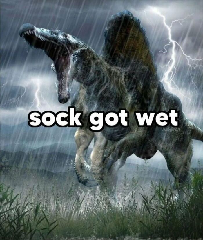 Funny-No-Context-Memes