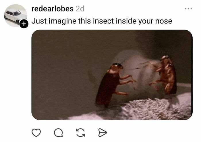 Image of two cockroaches inside a nose illustrating nostrils humor