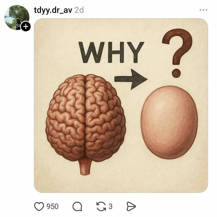 Illustration of brain and egg with question mark highlighting brain and egg comparison