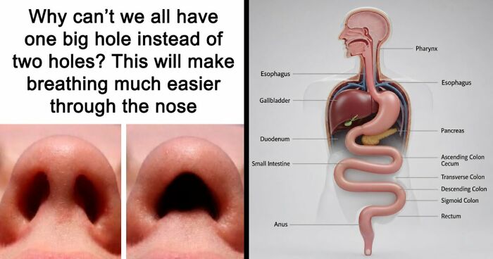 26 People Joined A Discussion About Nostrils, And Things Got Hilariously Weird Fast