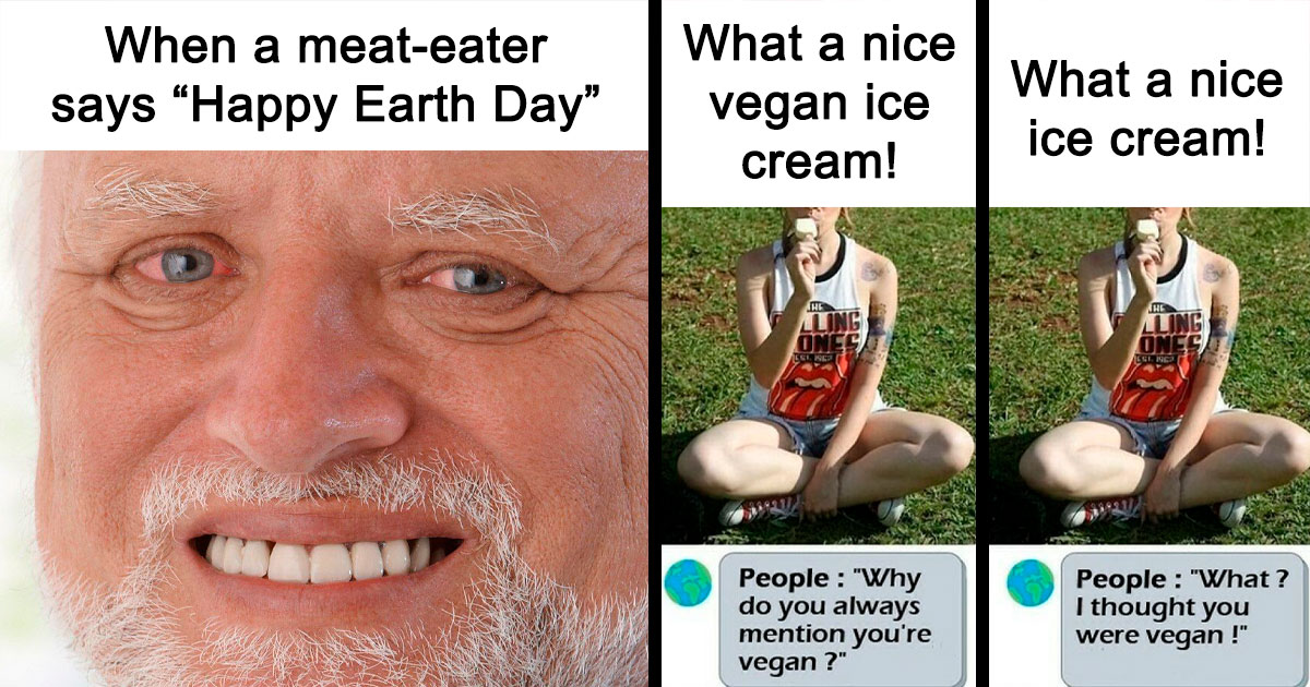 62 Funny Memes To Send To Your Non-Vegan Friends