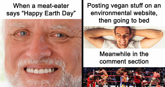 75 Hilarious Vegan Memes That May Change The Way You Look At Meat