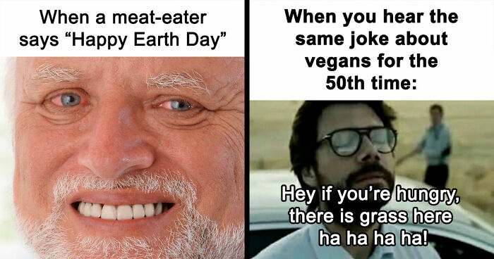 75 Hilarious Vegan Memes That May Change The Way You Look At Meat
