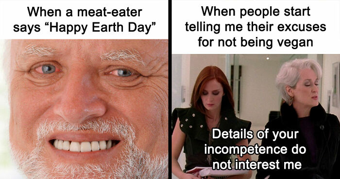 75 Hilarious Vegan Memes That May Change The Way You Look At Meat