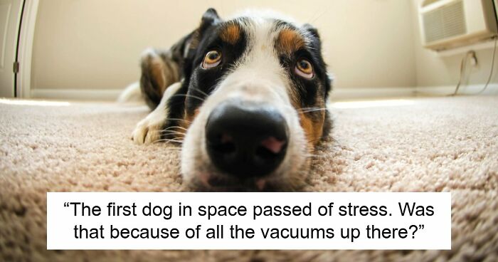 45 Times People Asked The Stupidest Scientific Questions And Got Even Dumber Answers