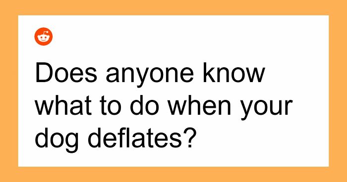 45 Times People Asked The Stupidest Scientific Questions And Got Even Dumber Answers