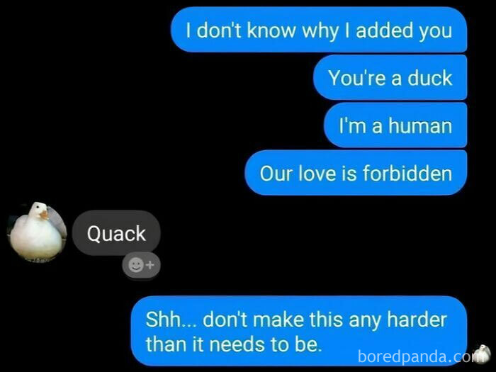 Text conversation with duck profile picture about forbidden love between human and duck