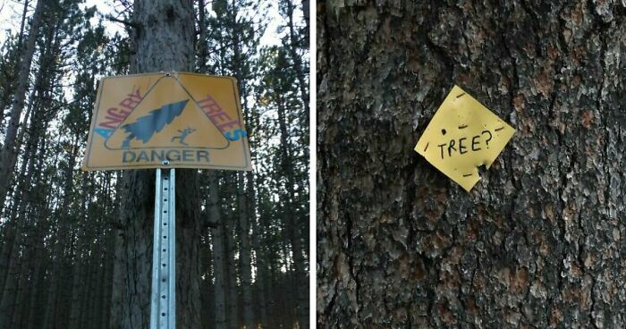 54 Funny Signs Found In The Wild That Are Worth Every Blister And The Stale Trail Mix