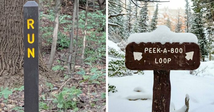 54 Funny Signs Found In The Wild That Are Worth Every Blister And The Stale Trail Mix