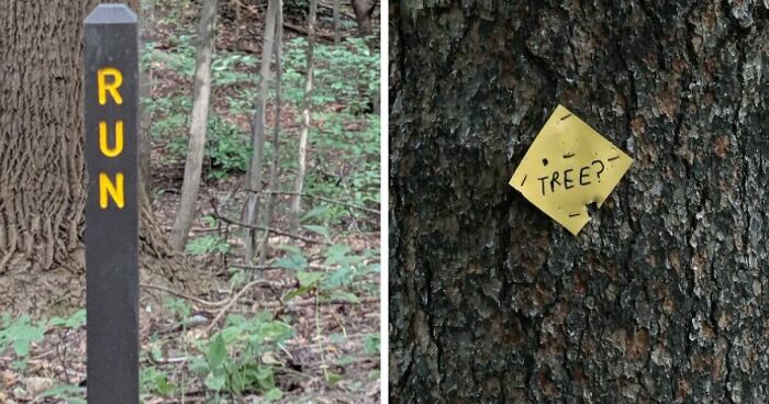 54 Funny Signs Found In The Wild That Are Worth Every Blister And The Stale Trail Mix