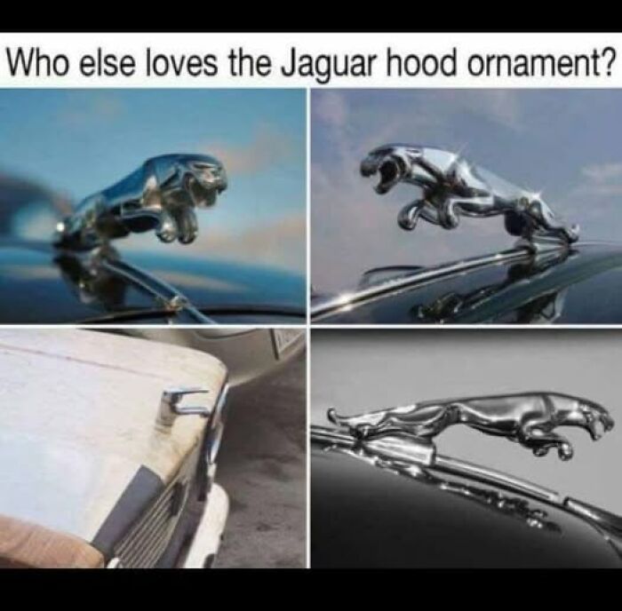 Four images of Jaguar hood ornaments on different cars, showcasing the iconic design.