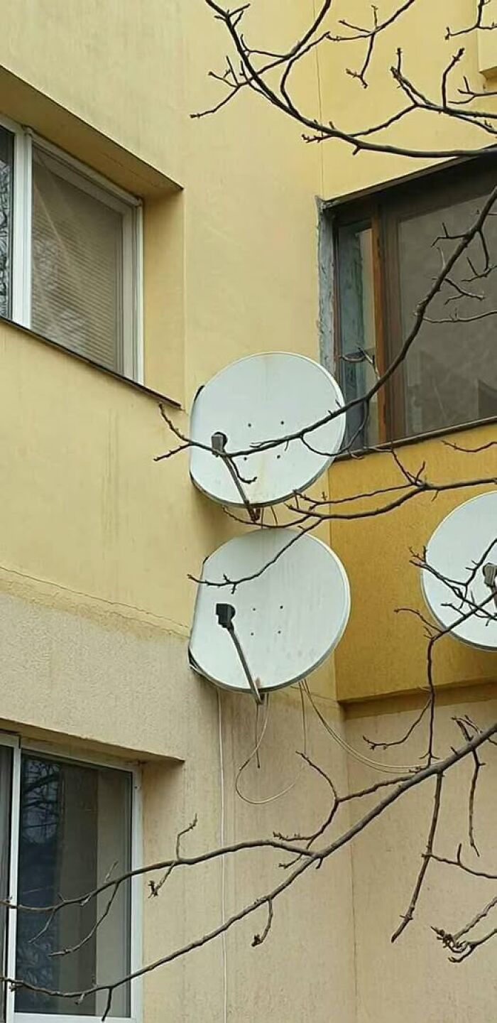Multiple satellite dishes haphazardly mounted on a building wall, illustrating practical Slavic Science.