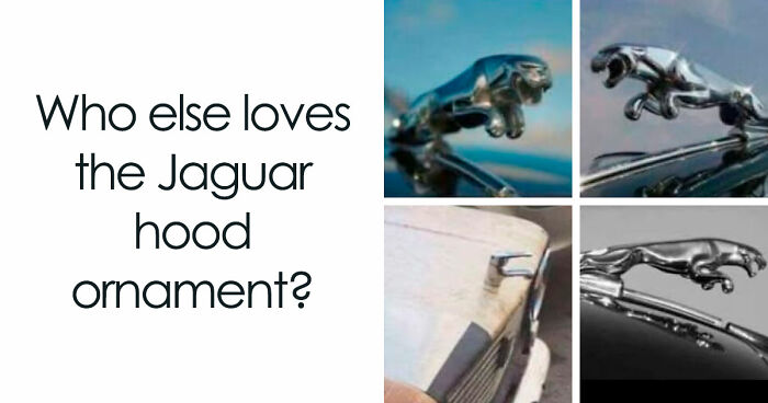 52 Examples Of “Slavic Science” That Prove These People Are A Different Species