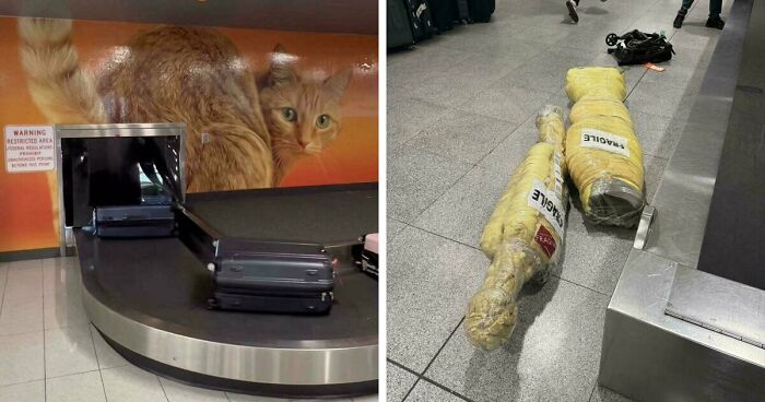 54 Times Airports Were The Most Chaotic Place On The Planet, And We Have The Photos To Prove It