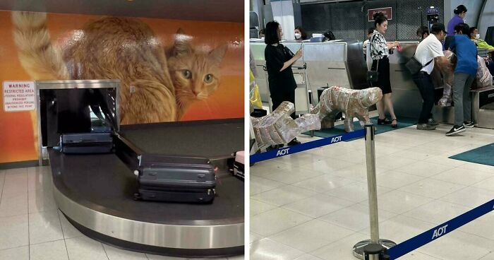 53 Times Airports Were The Most Chaotic Place On The Planet, And We Have The Photos To Prove It