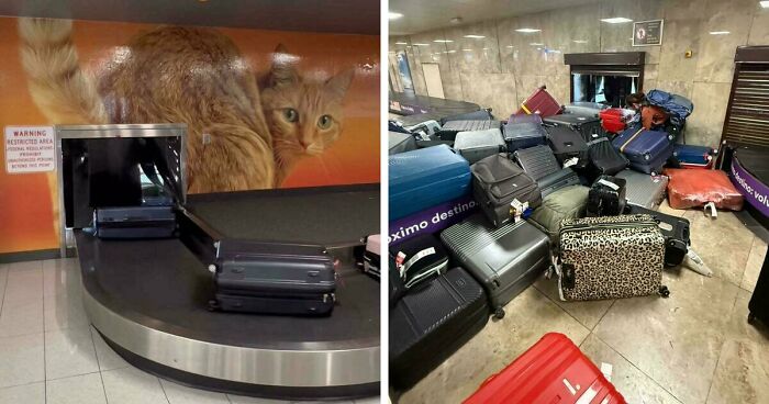 53 Times Airports Were The Most Chaotic Place On The Planet, And We Have The Photos To Prove It