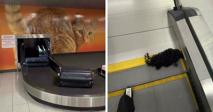 53 Times Airports Were The Most Chaotic Place On The Planet, And We Have The Photos To Prove It