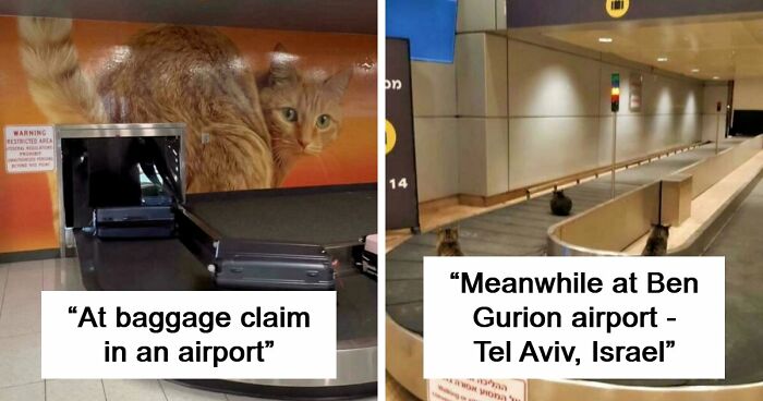 54 Times Airports Were The Most Chaotic Place On The Planet, And We Have The Photos To Prove It