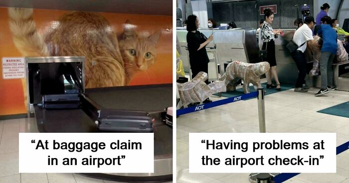 54 Times Airports Were The Most Chaotic Place On The Planet, And We Have The Photos To Prove It