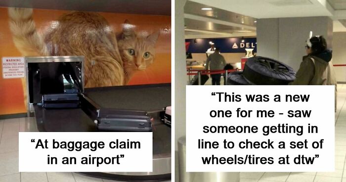54 Times Airports Were The Most Chaotic Place On The Planet, And We Have The Photos To Prove It