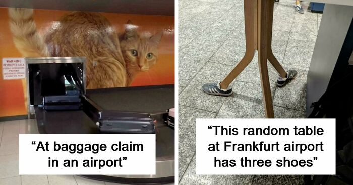 54 Times Airports Were The Most Chaotic Place On The Planet, And We Have The Photos To Prove It