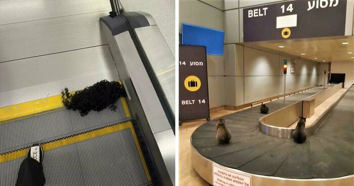 53 Times Airports Were The Most Chaotic Place On The Planet, And We Have The Photos To Prove It