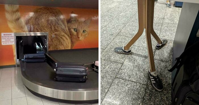 54 Times Airports Were The Most Chaotic Place On The Planet, And We Have The Photos To Prove It