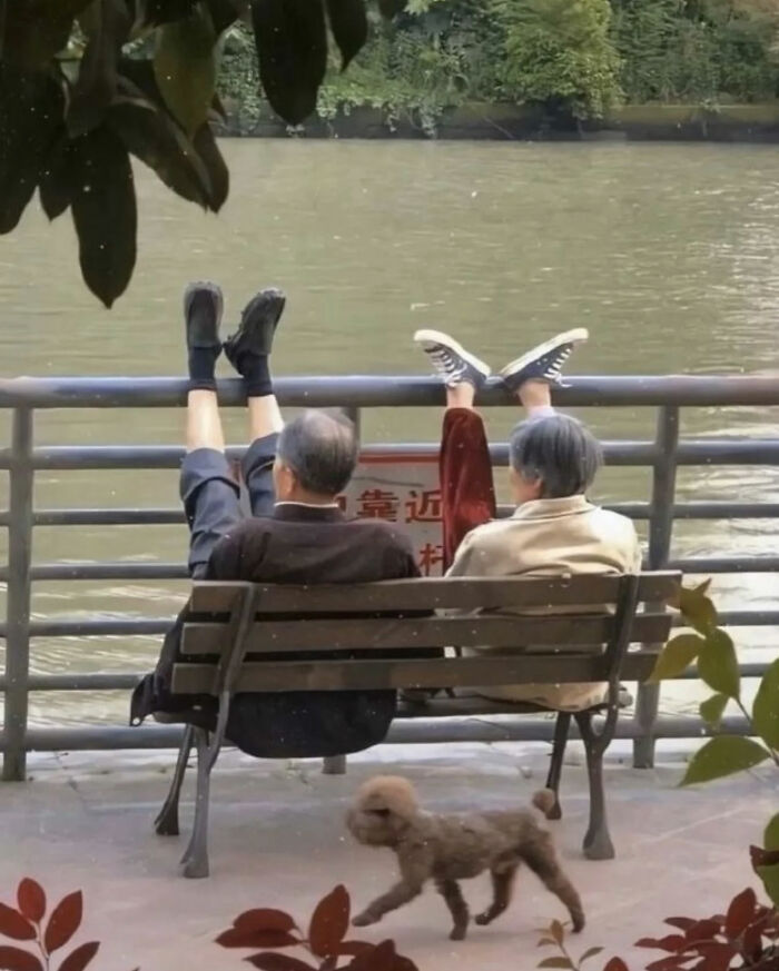 A couple sits on a bench by water with their legs up, a dog nearby; a great photo that became a legend.