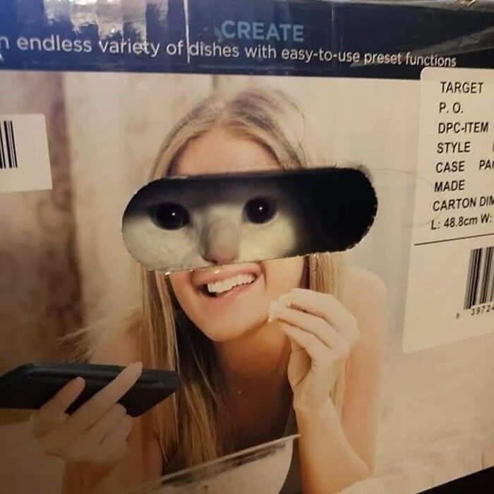 A great photo of a woman with a cat's face peering through a box hole, creating an internet legend.