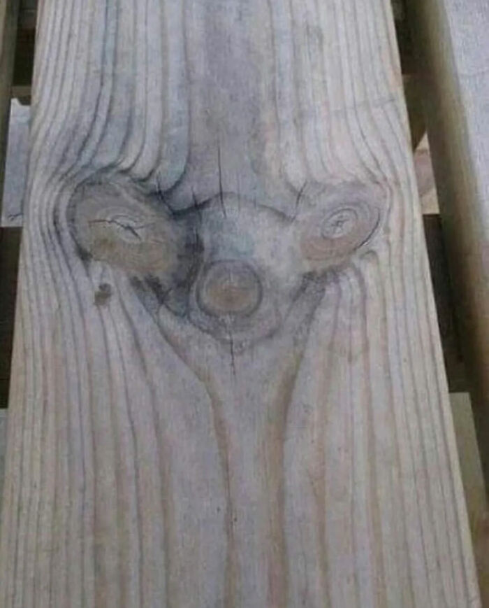 A close-up of a wooden plank with knots resembling a surprised or shocked face, a great internet legend.