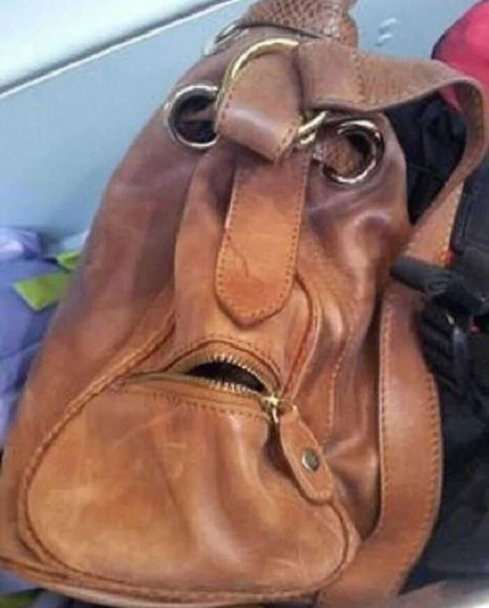 A brown leather bag with its features arranged to look like a dog's face, a great internet legend.