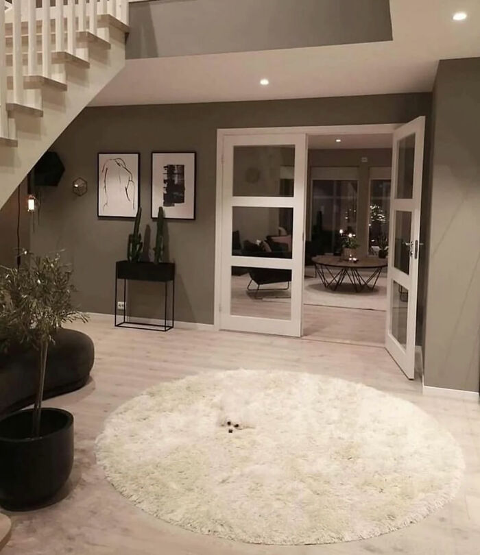 A modern living room with a fluffy white rug and a view into another room, a great photo.