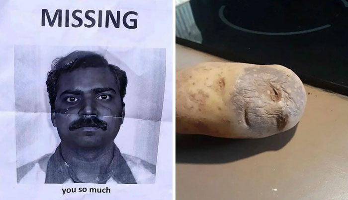 93 Photos That Are So Great, They Became Legends Of The Internet