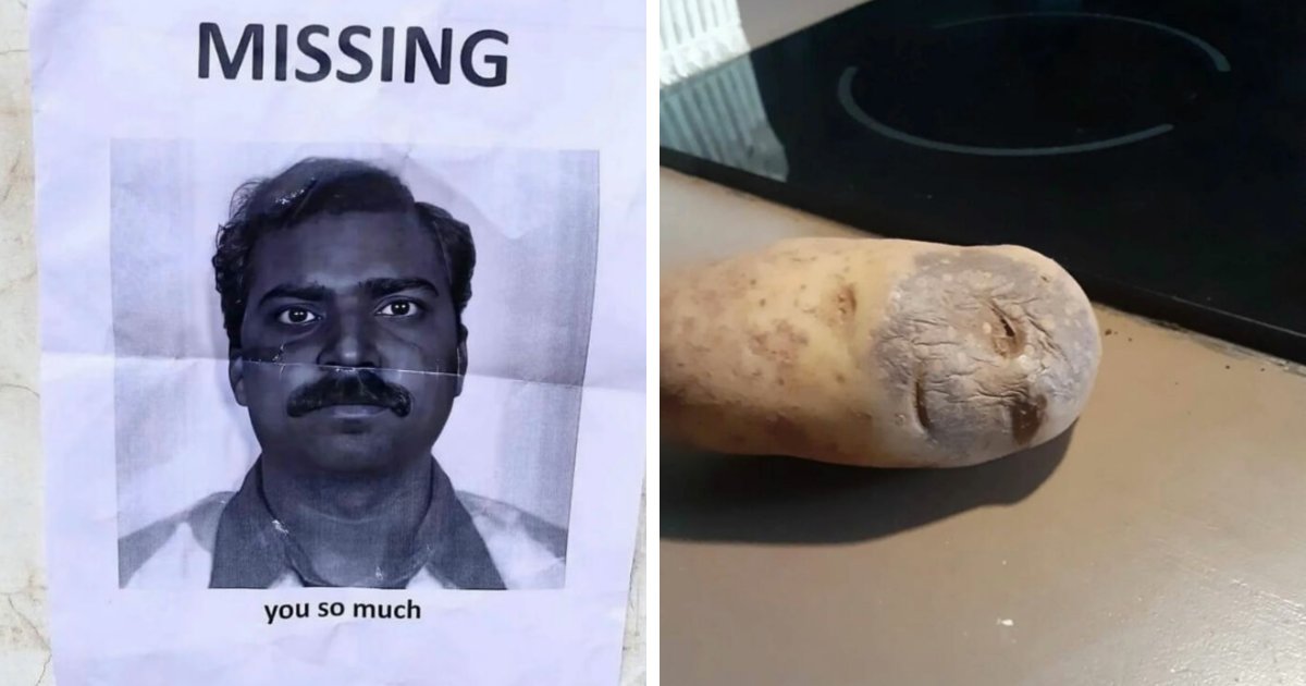 93 Photos That Are So Great, They Became Legends Of The Internet