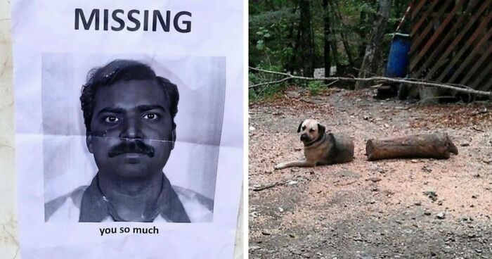93 Photos That Are So Great, They Became Legends Of The Internet
