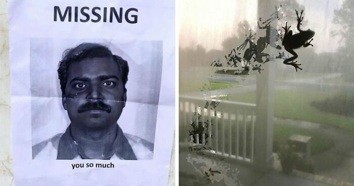 93 Photos That Are So Great, They Became Legends Of The Internet