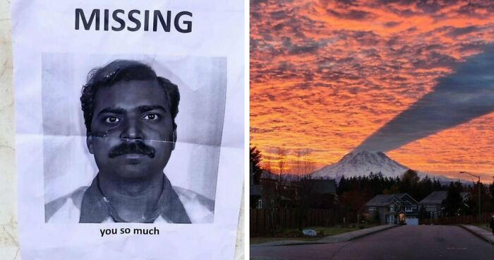 93 Photos That Are So Great, They Became Legends Of The Internet
