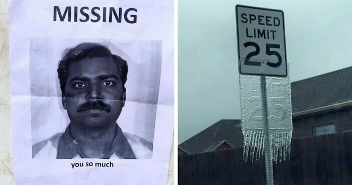 93 Photos That Are So Great, They Became Legends Of The Internet