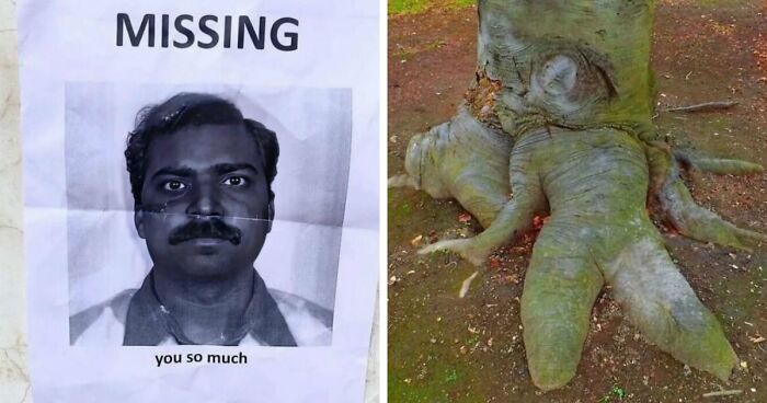 93 Photos That Are So Great, They Became Legends Of The Internet